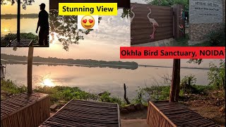 Totally Amazed Unexpected Views😍🤩  Okhla Bird Sanctuary NOIDA [upl. by Tilda992]