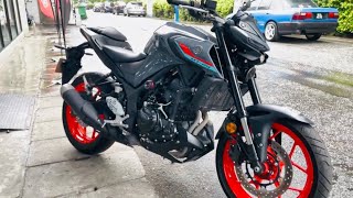 Yamaha MT25 2022  Grey  Walkaround [upl. by Eisenhart]