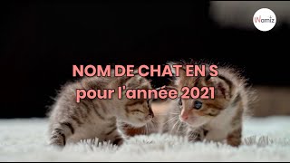 Nom de chat en S pour lannée 2021  trouvez de l’inspiration pour le prénom de votre chat [upl. by Oiliduab31]