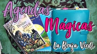 Cómo me organizo  enseñando muchas agendas esotéricas y astrologicas [upl. by Bonni]