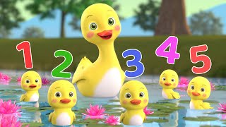 Number Song  Five Little Duckies  More Baby Songs  Beep Beep Nursery Rhymes [upl. by Sheley]