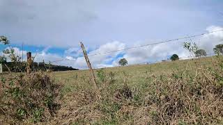 oque vemos e uma beleza na zona rural de ouro branco mg muitas plantaçoes grassas a deus [upl. by Newmann]