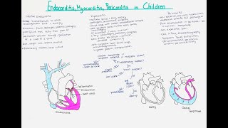 Endocarditis Myocarditis amp Pericarditis in Children cardiac tamponade [upl. by Sitoel]