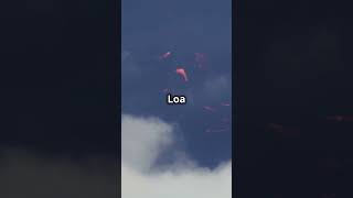 The Largest Volcano Mauna Loa MaunaLoa LargestVolcano VolcanoWonders [upl. by Hadria302]