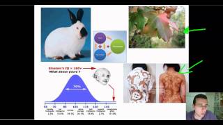 Advanced Classical Genetics Part 3 Genetic Relationships Part 2 [upl. by Hibbert870]