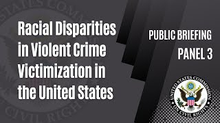 Racial Disparities in Violent Crime Victimization in the United States  Panel 3 [upl. by Okwu]