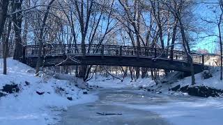 Beautiful frozen 8°F walk along Minnehaha Creek in Minneapolis December 2022 4K 60FPS [upl. by Nebur]