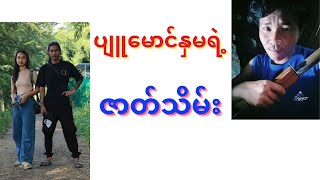 ပျူမောင်နှမရဲ့ ဇာတ်သိမ်း [upl. by Rodrich887]