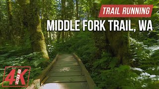 Trail Running along Middle Fork Trail  4K Virtual Forest Run for Treadmill Workout Nature Sounds [upl. by Eelac]