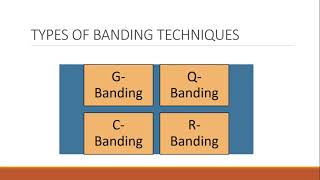 Methods of studying Genetic diseases Cytogenetic method PartIII [upl. by Rosana753]