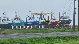 A Walking Tour of Shippagan New Brunswick [upl. by Magena]