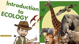 Introduction to Ecology [upl. by Vitale]