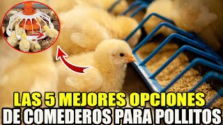 Las 5 mejores opciones de comederos para POLLITOS una guía de compra completa [upl. by Dranyl387]