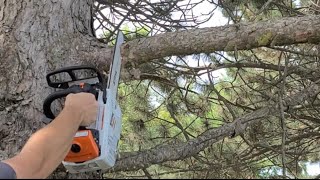 87 Stihl 194T Chainsaw and Firewood Mecca [upl. by Slinkman]