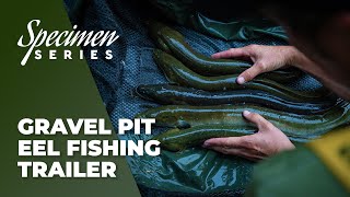 Phil Spinks Specimen Series  Gravel Pit Eel Fishing Trailer  Live 28th August 400pm [upl. by Dinerman651]