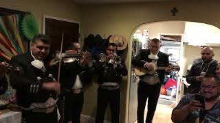 Despedida con Mariachi con Mariachi Santa Cruz 2017 [upl. by Elraet]