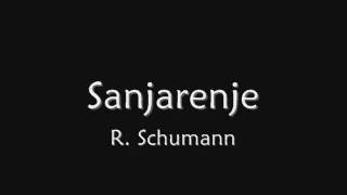 R Schumann Sanjarenje [upl. by Enrica282]