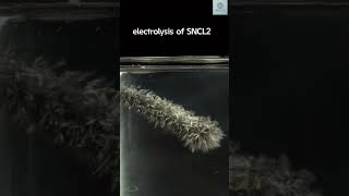 Electrolysis of sncl2 🥰✨👍🏻 science [upl. by Sakul]