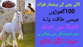 chane khane ke fayde bhune Hue chane khane ke faydehealth benefits of roasted hakeem Asif saeedi [upl. by Deirdra916]