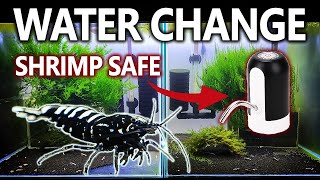 Shrimp Tank Water Change  My Tips and Tricks [upl. by Morrill]