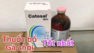 Catosal 👉 Thuốc bổ gà chọi ⚡️ Hiệu quả cao 👍 [upl. by Jessabell]