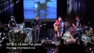 【LIVE】CLARE AND THE REASONS  COTTON CLUB JAPAN Feb18202013 [upl. by Sinnard]