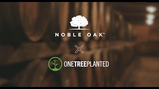 Noble Oak amp One Tree Planted  Urban Forestation in Cincinnati OH [upl. by Cita]