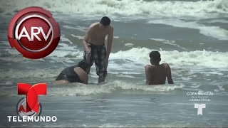 Alerta por presencia de materia fecal en las playas  Al Rojo Vivo  Telemundo [upl. by Rubinstein337]