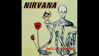 Nirvana Mollys Lips BBC John Peel Session 1990 [upl. by Haran406]