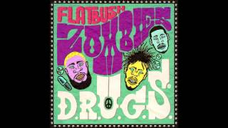 Flatbush Zombies  The Fun Song Prod By Erick Arc Elliott [upl. by Lletniuq]