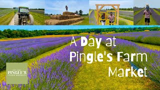 A Day at Pingles Farm Market  Exploring Fun Activities amp Fresh Produce [upl. by Fraser]