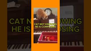 Good test for your ear… piano funny [upl. by Izmar]