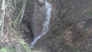 ScheffauRehbachklamm Österreich [upl. by Eitsyrk]