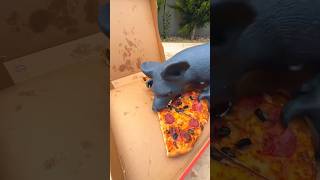 What Happens When She Sees a Mouse Eating Pizza [upl. by Goran]