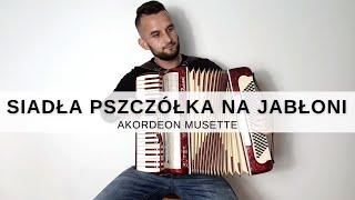 Siadła pszczółka na jabłoni  Akordeon MUSETTE [upl. by Eirol]