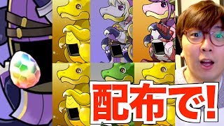 配布でダイヤ！？【パズドラ】色々な無料ガチャをまとめて回す！ [upl. by Ladnyc]