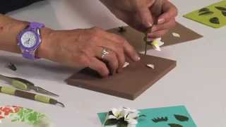 How to Use Sizzix Stephanotis Flower Die [upl. by Yenar391]