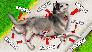 Breaking EVERY BONE As a DOG In GTA 5 [upl. by Crowell]