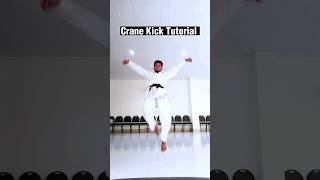 Karate Kid Crane Kick Tutorial 🔥🥋✅karate martialarts shorts [upl. by Florin]