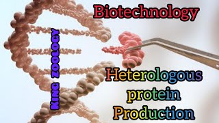 heterologous protein productionzoology biology biotechnology trending [upl. by Iliram]