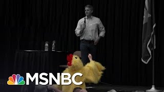 Man In A Chicken Suit Among Voters At Rowdy Jeff Flake Town Hall  The 11th Hour  MSNBC [upl. by Arorua]