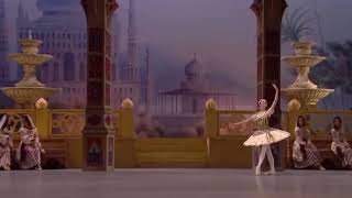 LE CORSAIRE  Odalisque Variation 3 Ksenia Zhiganshina  Bolshoi Ballet [upl. by Netsirk]