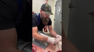 Netting Bison chuck roasts 🔪🥩🦬 shorts bison chuckroasts youtube butcher thebeardedbutchers [upl. by Divd85]