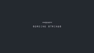 Sordino Strings Cinematic quotDream Catchersquot [upl. by Faxan]