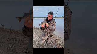 PERCH DAY ON BLESSINGTON LAKE IN IRELAND fishing ireland perch lake love viral 🎣🎣🎣 [upl. by Patman]