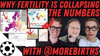 Why Fertility is Collapsing Shocking Stats with MoreBirths [upl. by Stewardson]