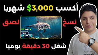 أكسب 3000 بالدليل من هذه الطريقة المؤكدة و المضمونة 💰 شغل 30 دقيقية يوميا 😎 الربح من الانترنت [upl. by Kennith749]