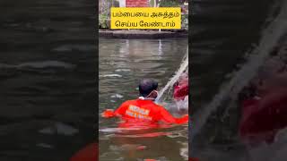 Clean Sabarimalai swamysaranam sabarimalaayyapan [upl. by Segroeg]