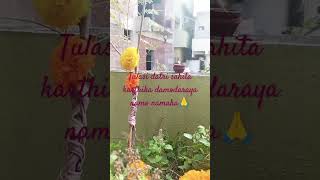 karthika pournami puja  tulasi datri puja  daily vlog [upl. by Tereb]