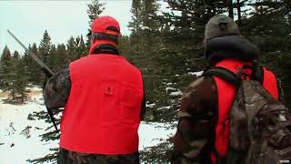 Deer hunting on Anticosti Island [upl. by Volnay]